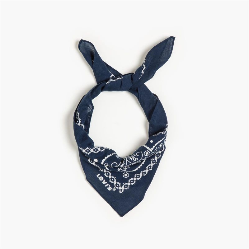 PAISLEY BANDANA