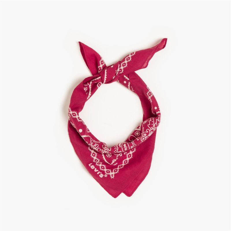 PAISLEY BANDANA