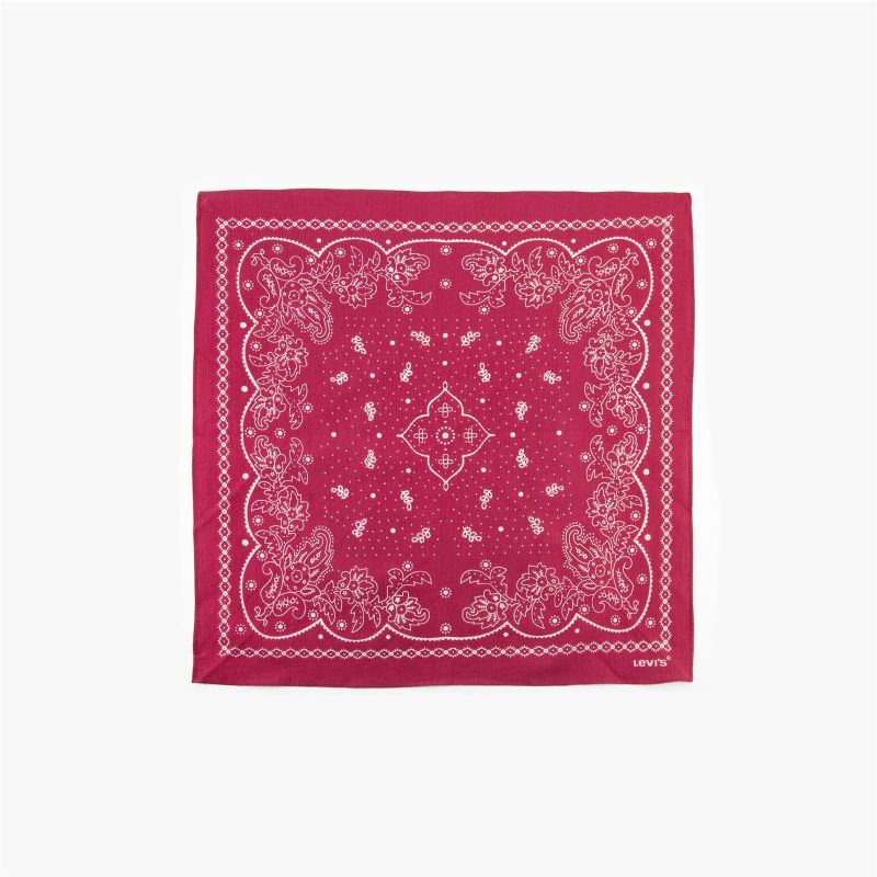 PAISLEY BANDANA